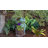 Seidel Animals Fiberglass Garden Statue-823105146