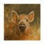 Art sur toile cochon sauvage sauvage, John-104137098
