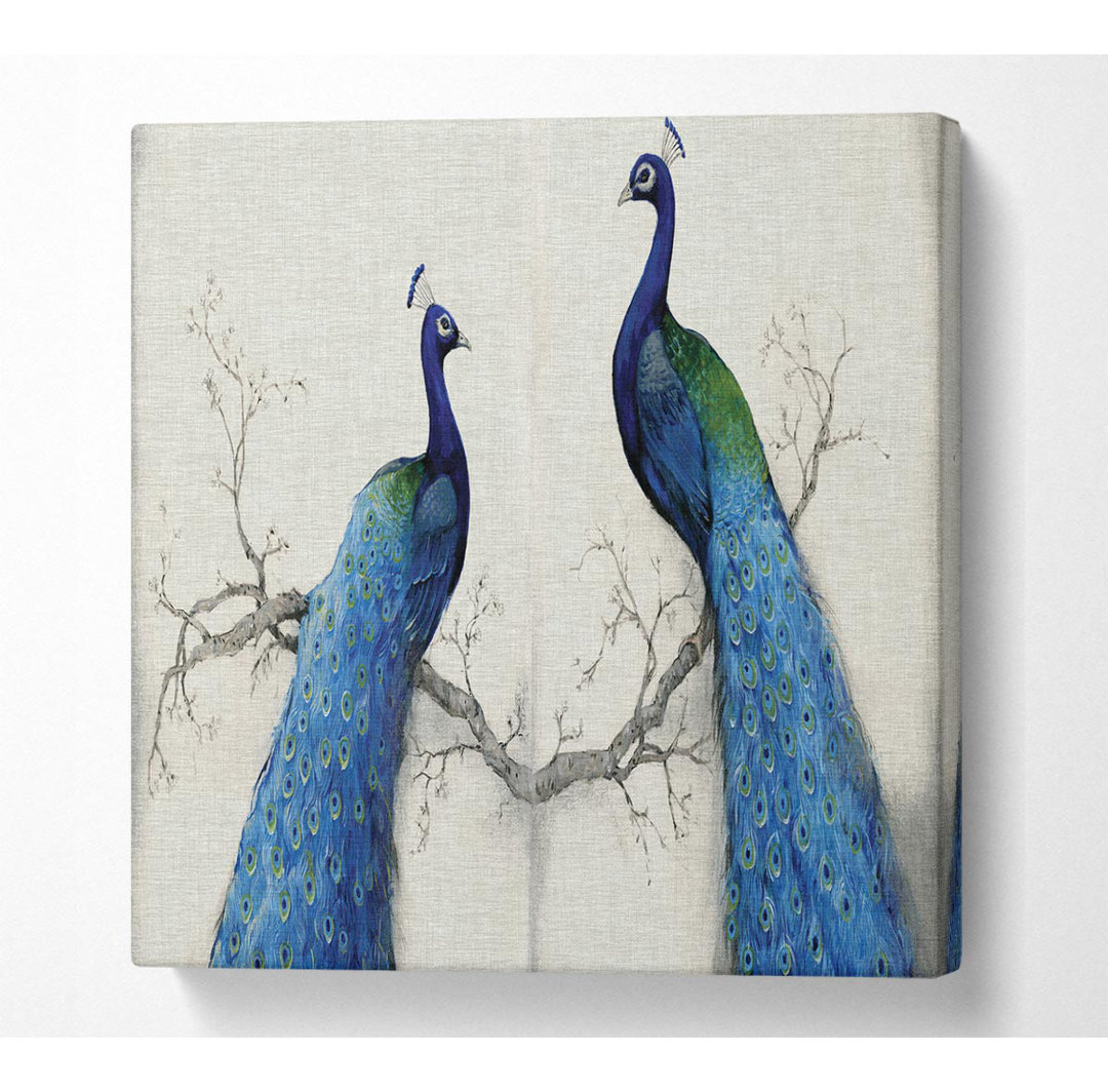 Der Pfau Duo Square Leinwanddruck