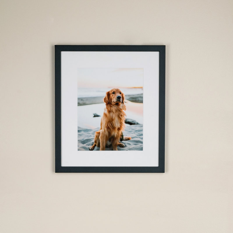 Cadre photo Becton, 12 po x 24 po
