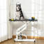 PawHut Dog Hydraulic Grooming Table