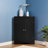 Naziya Bathroom Cabinet-666532086