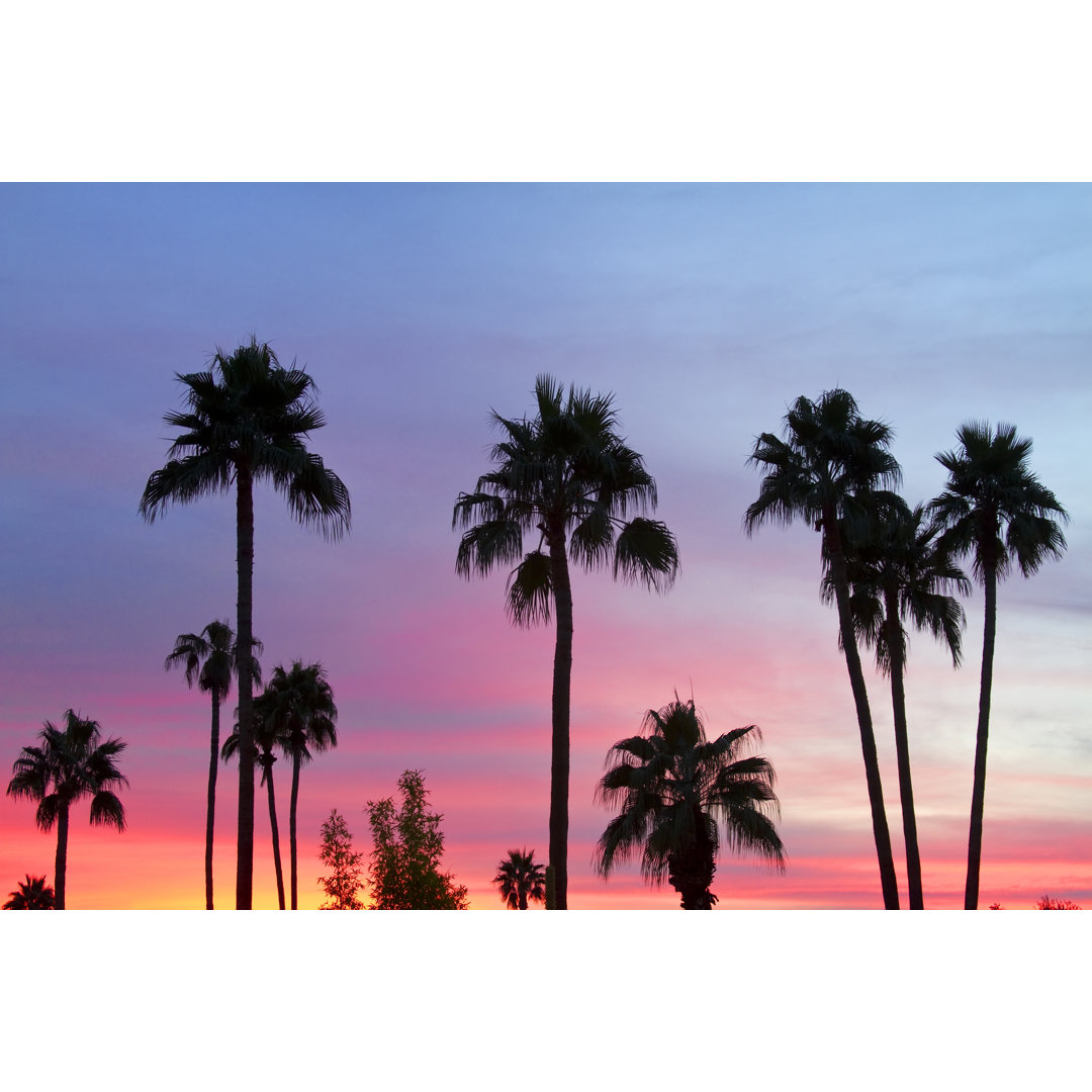 Leinwandbild Paradise Palm Tree Sunset Sky von Striking Photography