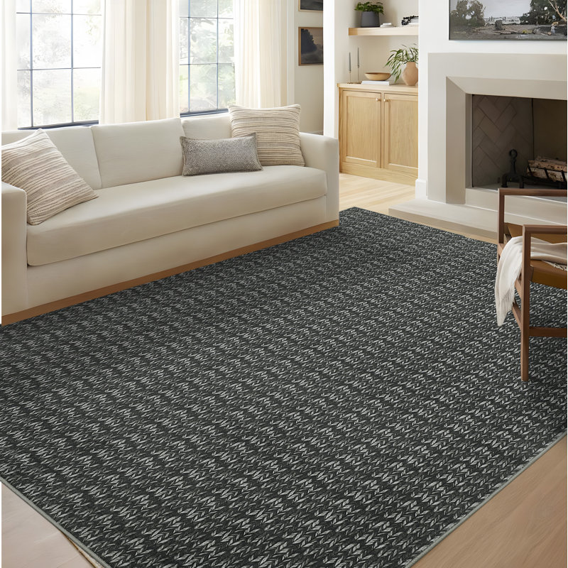Area Rug Modern Braided Rug Washable Area Rug Non-Slip BackingNon-Shedding Carpet for Living RoomBedroom, Rectangle 10' x 13'