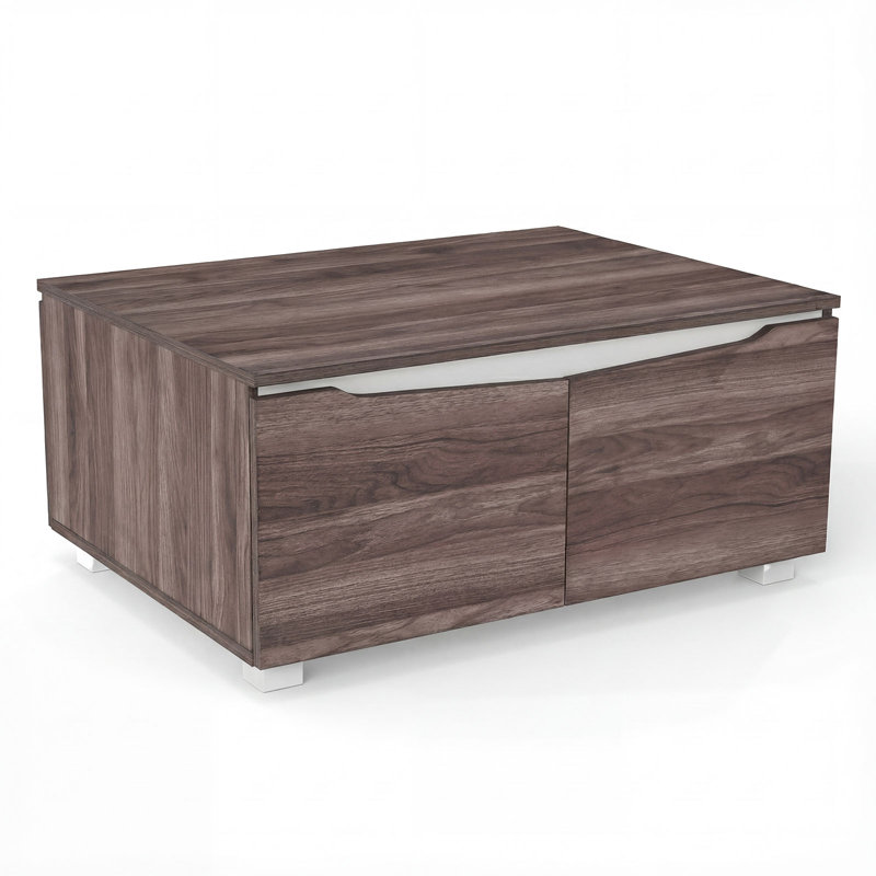 Coffee Table with Storage
