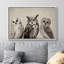 Oiseau, oiseau, bicolore, hibou-94585949-94585952