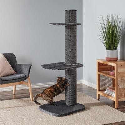 Farrell 58.3'' H Cat Tree