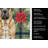 Apricot English Mastiff Christmas PoinsettIas Kitchen Towel-2080584159