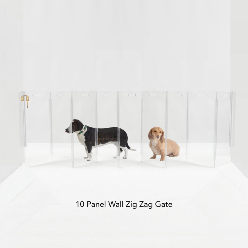 Clear Zig Zag Pet Gate Wall Mounted Pet Gate with Gold Latch, 10 Panel, Gold