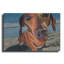 Art mural en métal Red Barrel Studio «Sand Dog» par Kathryn Wronski-1007918839
