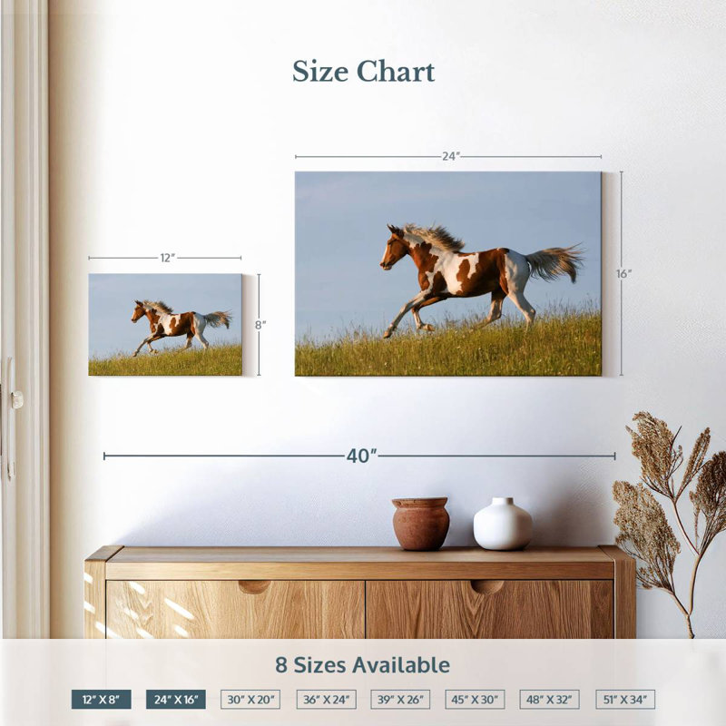 Cheval Appaloosa gratuit