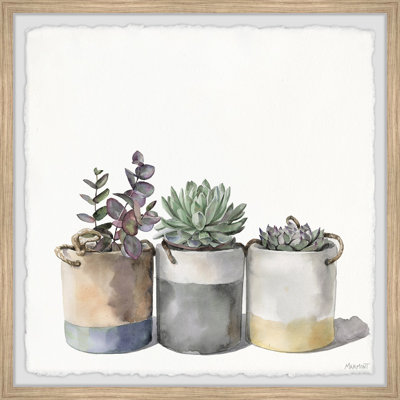 Cacti Collection - Single Picture Frame Painting