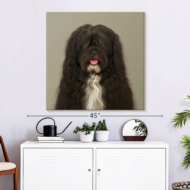 Brampt Jarjar The Tibetan Terrier, 33" H x 33" W