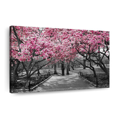 Fleurs de cerisier sur toile sur Central Park NY