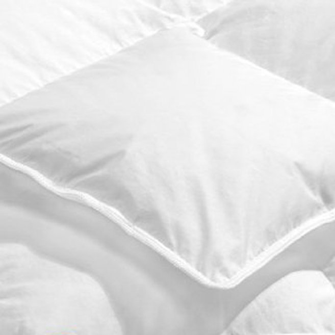 Miskolc Goose All Season Down Comforter, Twin