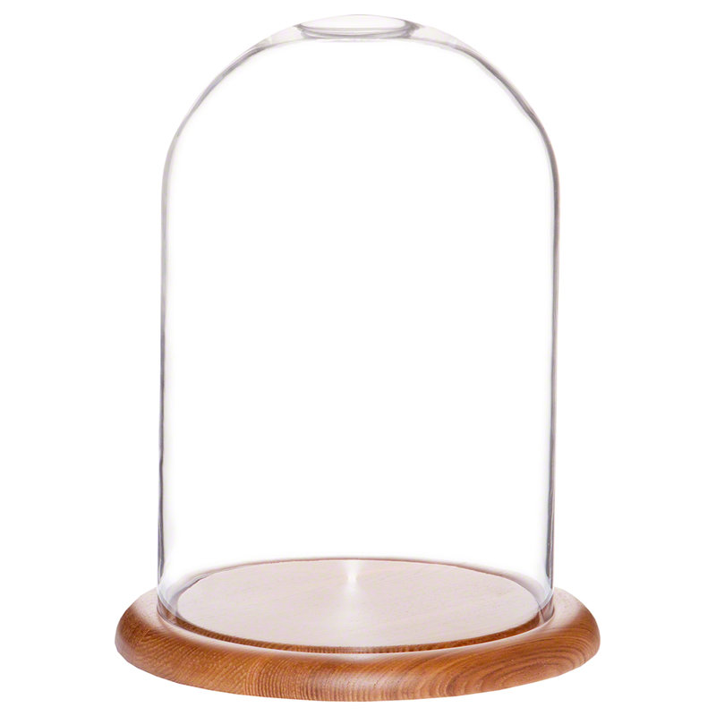 Jenett Glass Display Dome Cloche, Walnut MDF base, 12" H x 8" W x 8" D