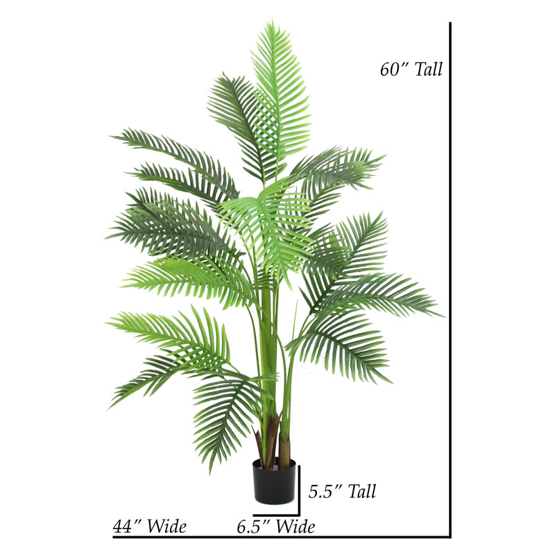 ARBRE DE PAUME 60 "PARADISE 60"