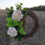 Couronne de 24 po
