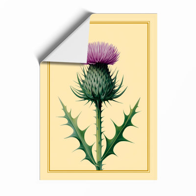 Thistle Study Botanical - Print