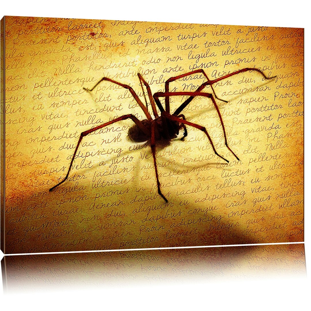 Leinwandbild Hausspinne auf Briefpapier