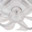 Ceiling Fan with LED Lights