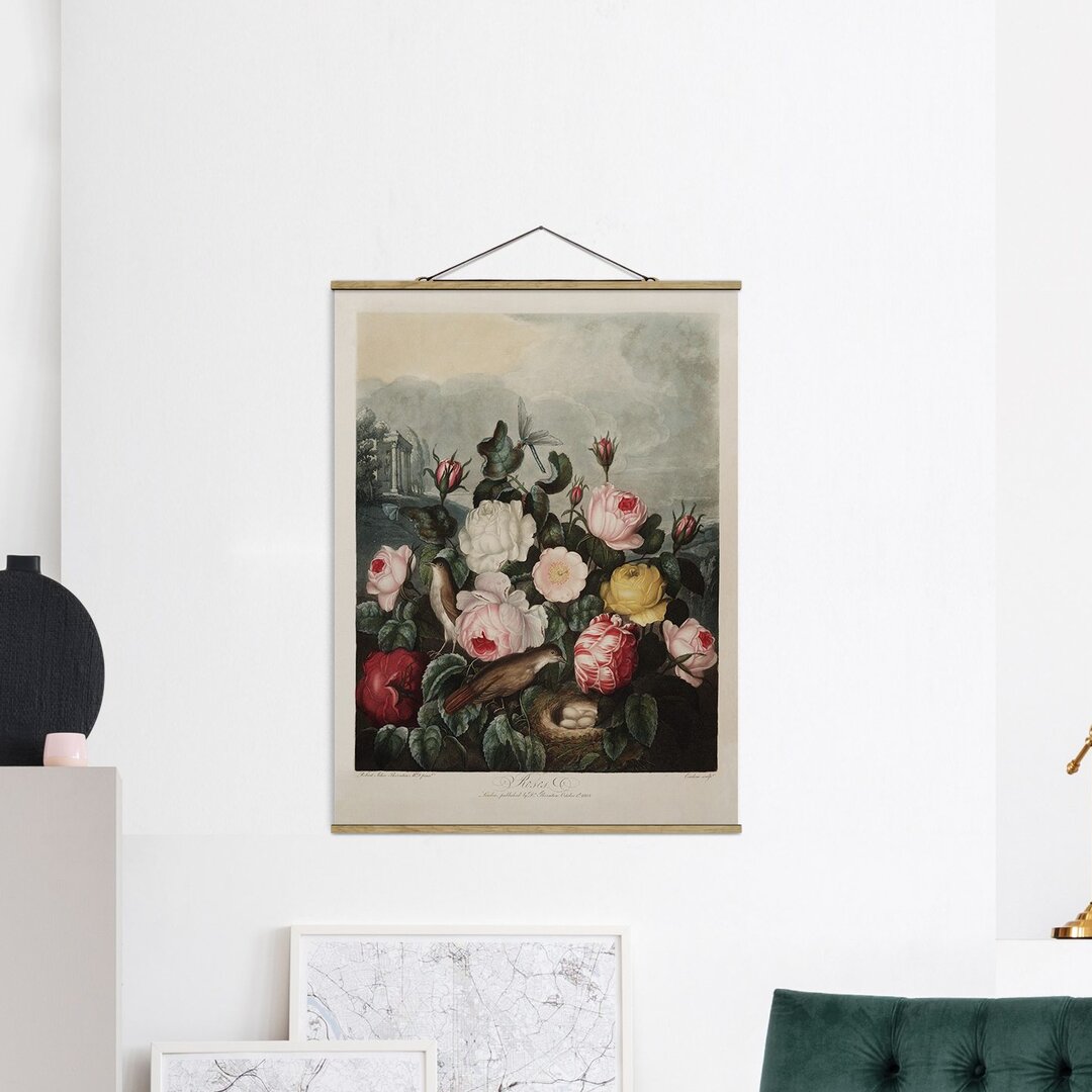 Grafikdruck Botany Vintage Illustration Roses