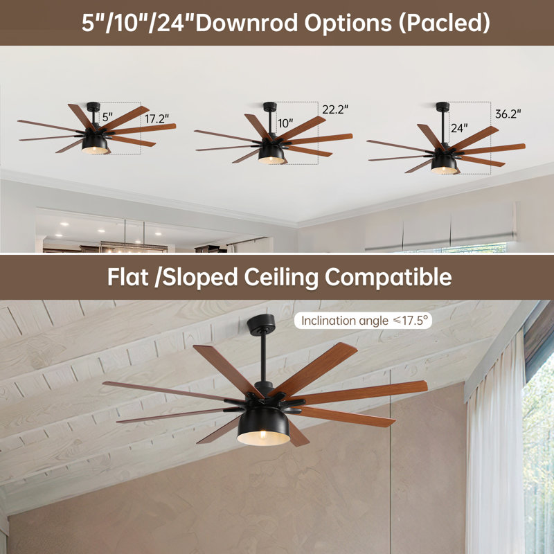 Bartling 52"/66" 8-Plywood-Blades Modern Ceiling Fan with Lighting Kit and Smart Remote, 52"