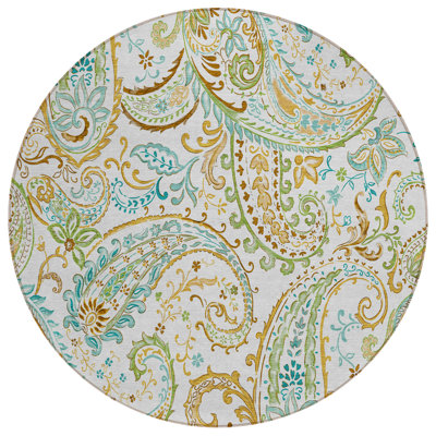 Kinslee Washable Paisley Indoor / Outdoor Rug