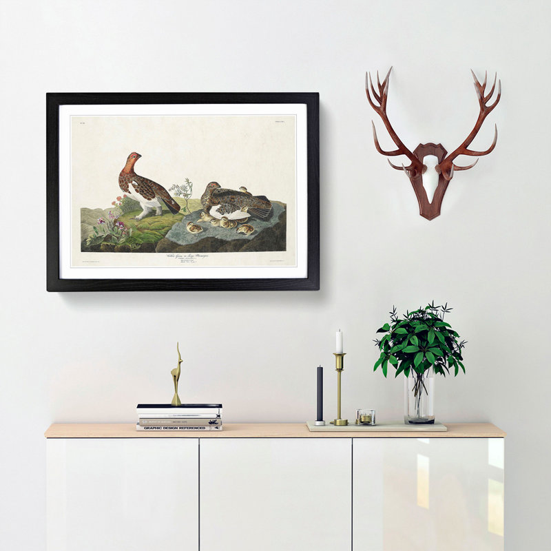 Willow Grouse by John James Audubon - Framed Print, 27cm H x 36cm W x 2cm D, Black Framed