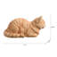 Chat tigré orange au repos-126248606