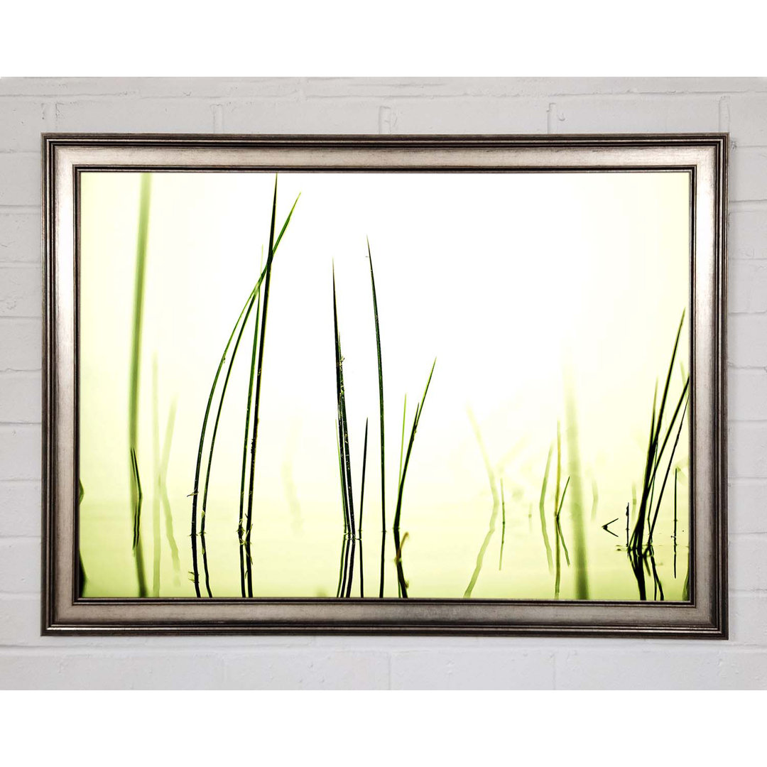 Kunstdruck Water Grass