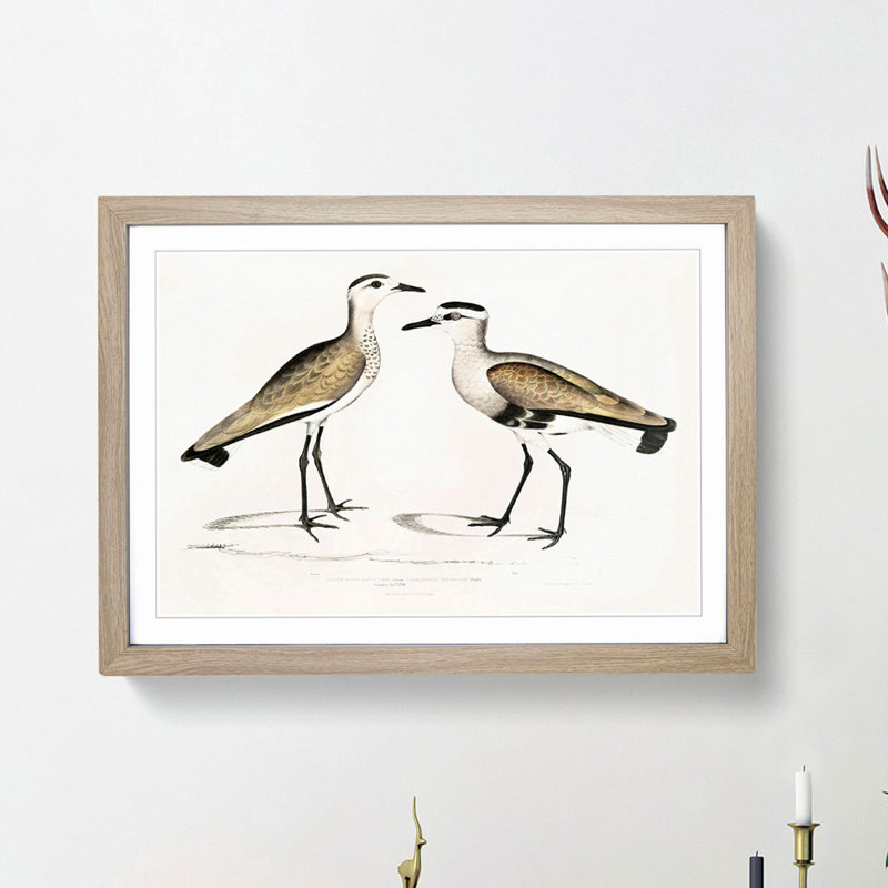 Two Sandpiper Birds by John Edward Gray - Picture Frame Painting Print, 48cm H x 65cm W x 2cm D, Oak Framed