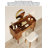 Mid-century modern solid black walnut vanity table all-in-one multi-functional solid wood makeup desk