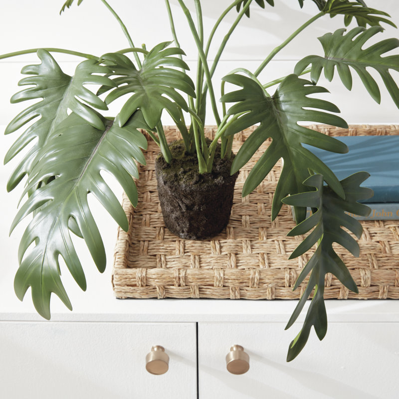 Faux Fern Plant