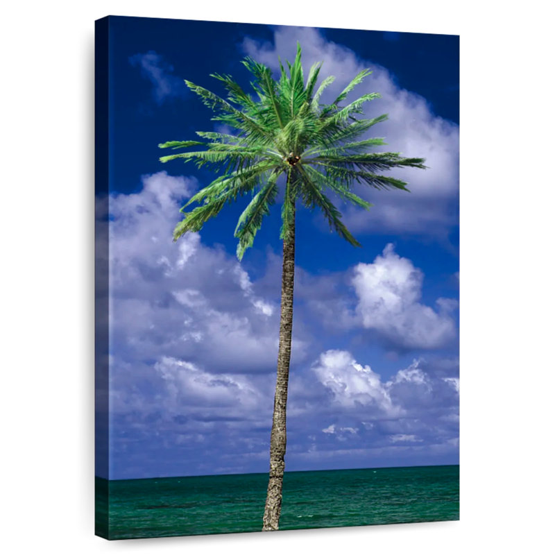 Gillard Maui Palm Tree, 48" H x 32" W