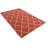 Palombo Orange Rug