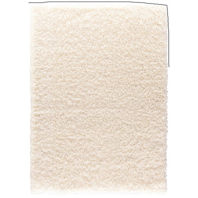 Shaggy Area Rug
