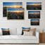 Fleurs vives au coucher du soleil - On-388681483-388681487