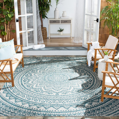 Erardo Looped Indoor/ Outdoor Light Grey/Teal Rug