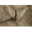 Tapis oriental Oushak 10x14