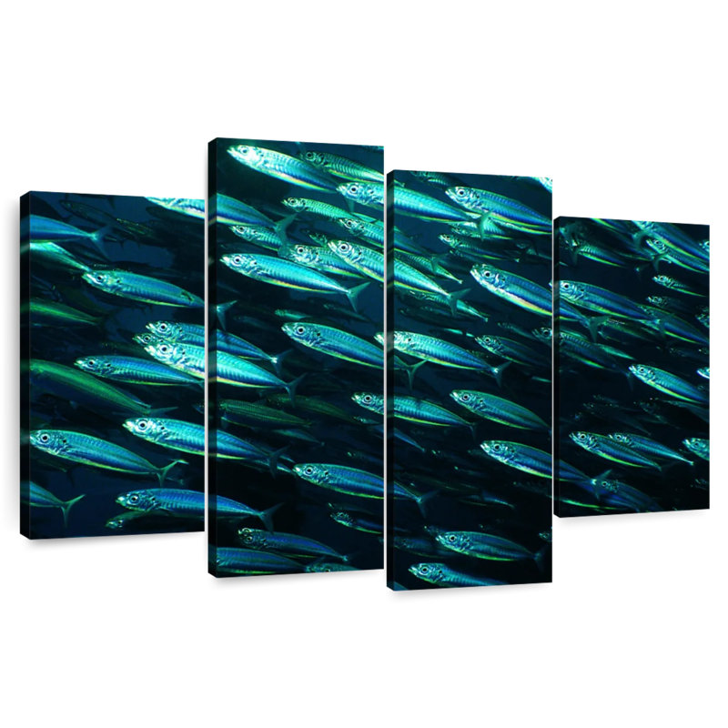 Banc de poissons, H 48 po x l 75 po