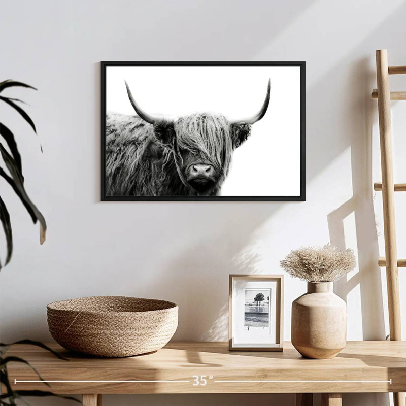 BW Highland Cow, 13" H x 19" W