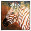 Zebra Sunset Framed Giclée Canvas Print-6560684-6560687