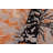 Dortly One-of-a-Kind 6' X 8'9" Wool Area Rug