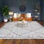 Moroccan Area Rug in Beige-62248604