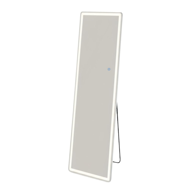 Miroir pleine grandeur 64 po