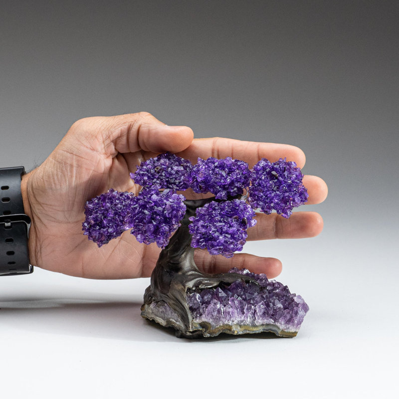 Small Amethyst Clustered Gemstone Tree on Amethyst Matrix (The Protection Tree)