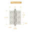 10'' x 10'' Solid Brass Traditional Hinge-14748765-124580131