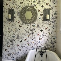 Schumacher Birds And Butterflies Floral Wallpaper Roll  Reviews  Perigold