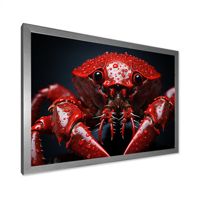 " Red Mantis Shrimp I "
